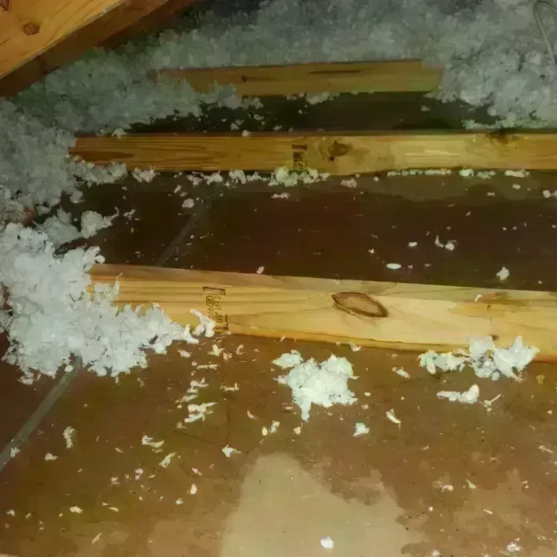 Attic Water Damage in Fern Prairie, WA