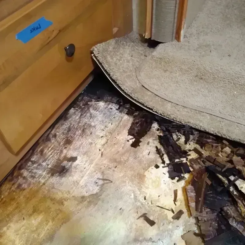 Wood Floor Water Damage in Fern Prairie, WA